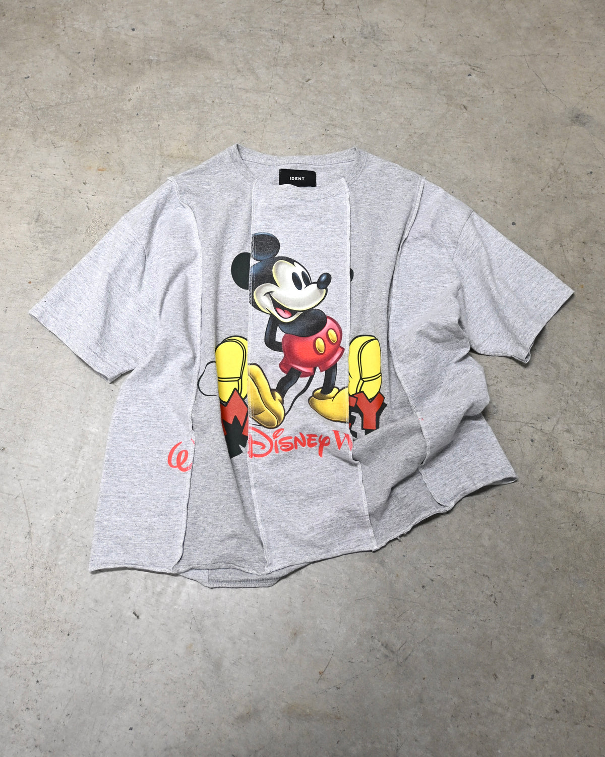 ID26-024-F / rebuild mickey tee【G】